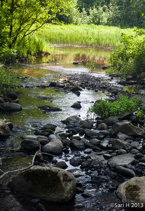 2013-06-03_EOS5D_Myllykoski (46)